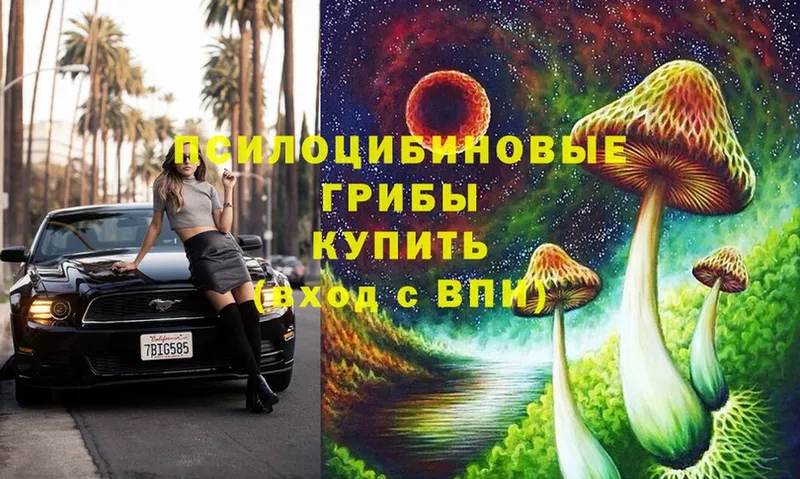 Галлюциногенные грибы MAGIC MUSHROOMS Иркутск